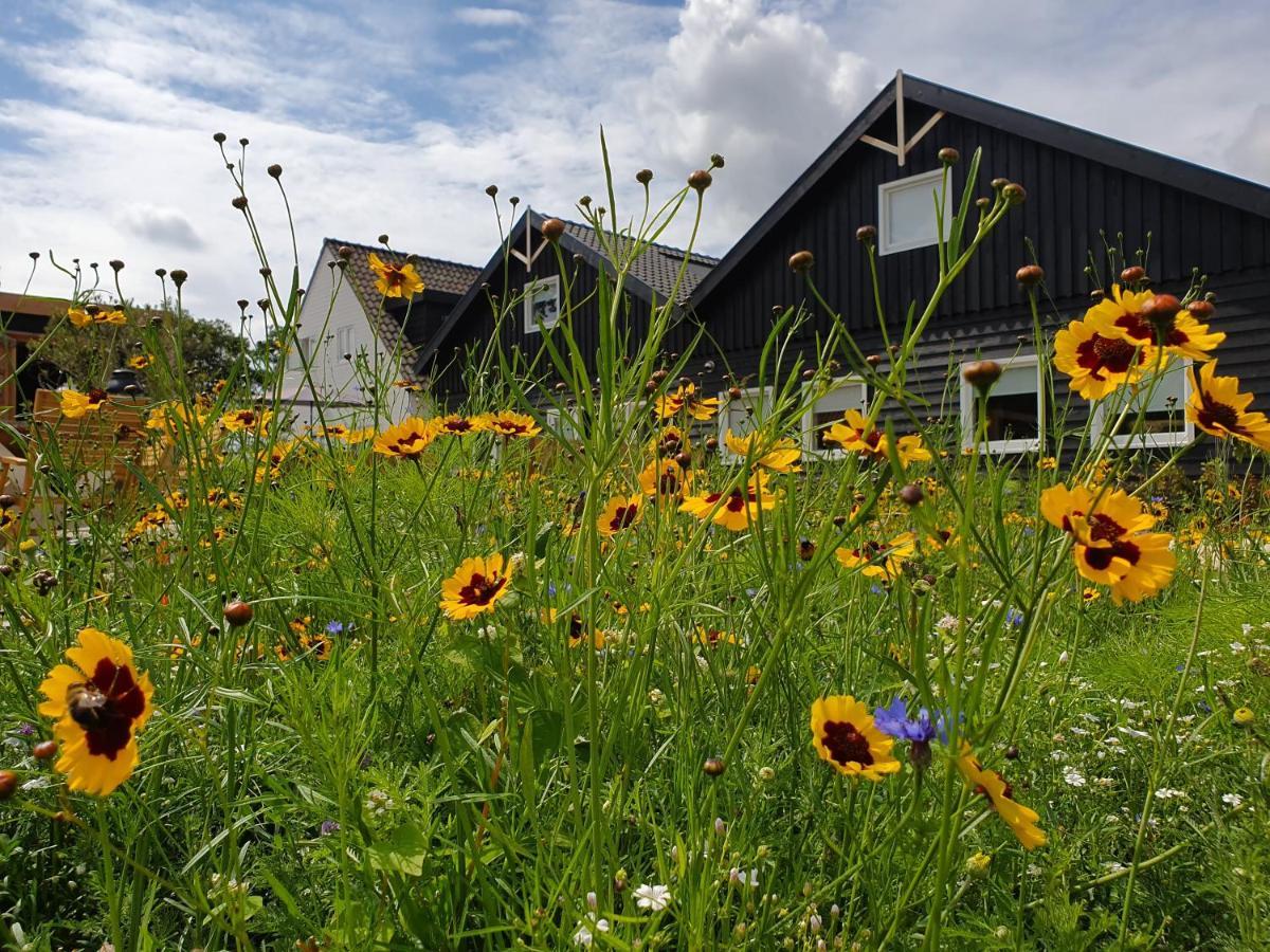 De Bonte Beleving Villa Oostkapelle Exteriör bild